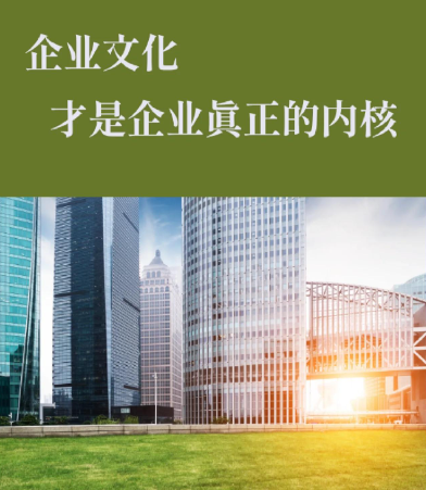 上海丝思网络科技网站建设服务的技术架构与开发流程解析